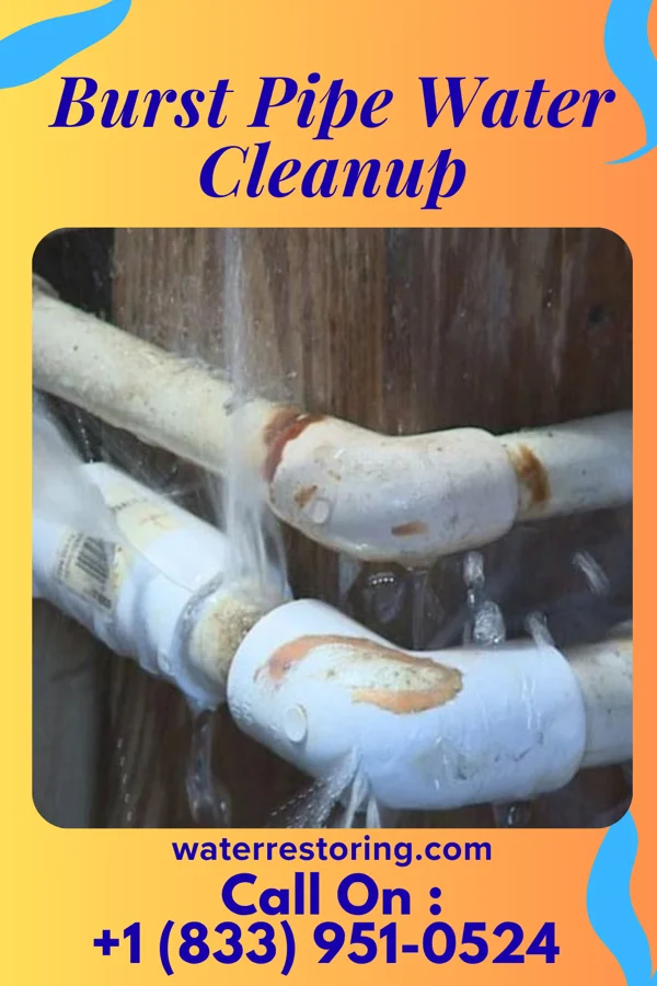 Burst Pipe Water Cleanup in Cedar Highlands, UT
